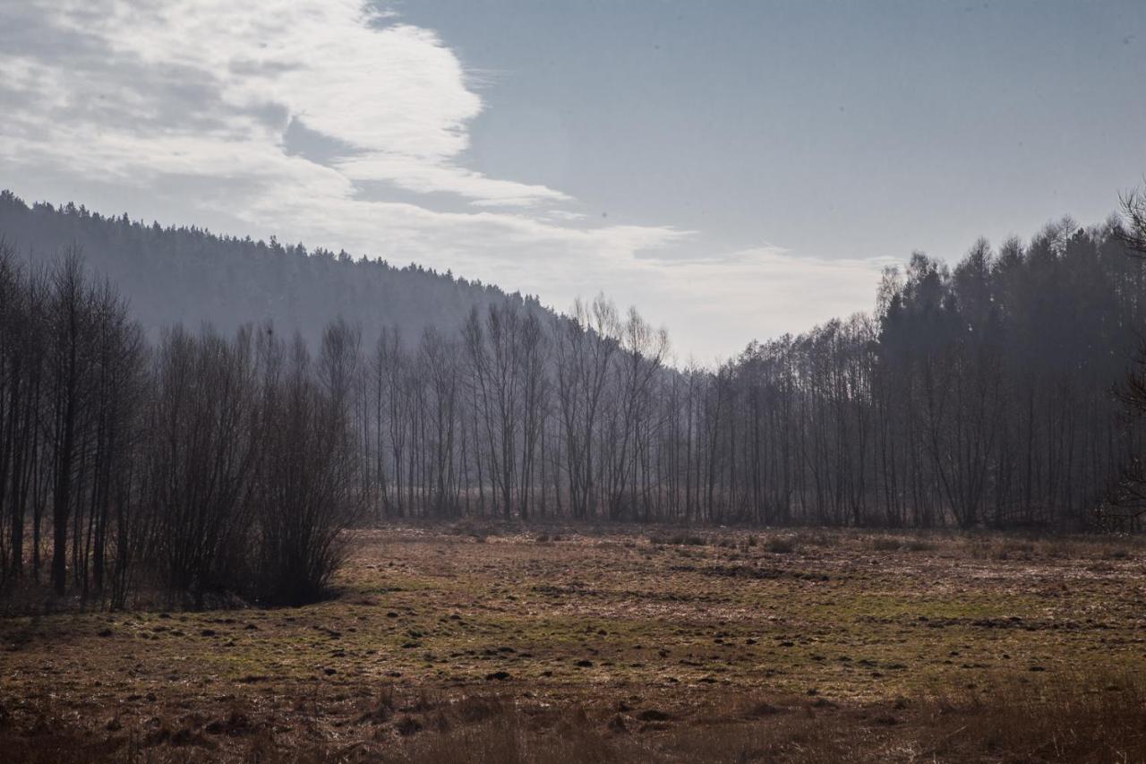 Domki Przystanek Drzewina Экстерьер фото
